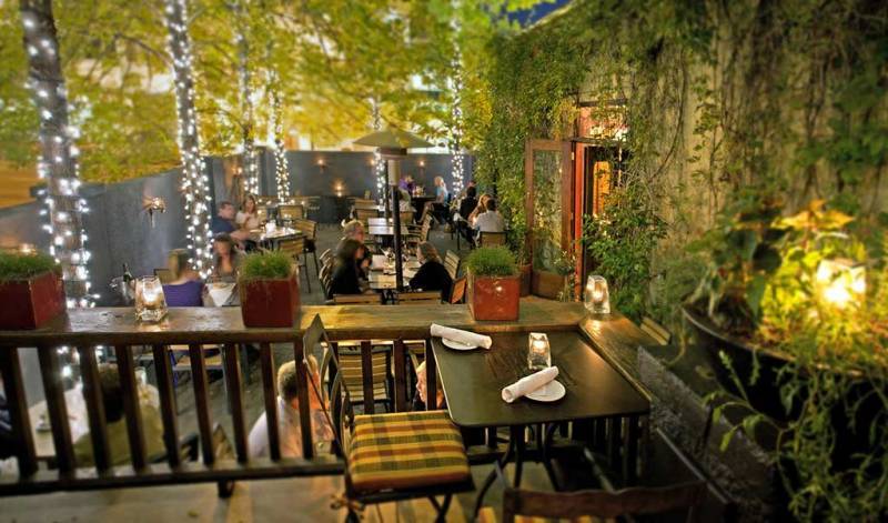 Outdoor dining area with hanging vines on walls and lights wrapped around poles 