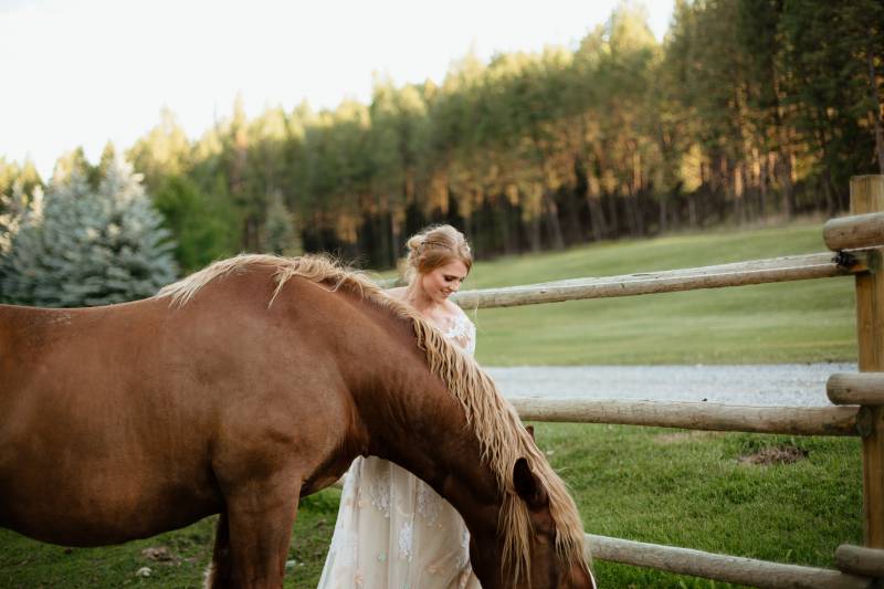 Bride in white dress pets brown horse beside wooden fence and forest backdrop 