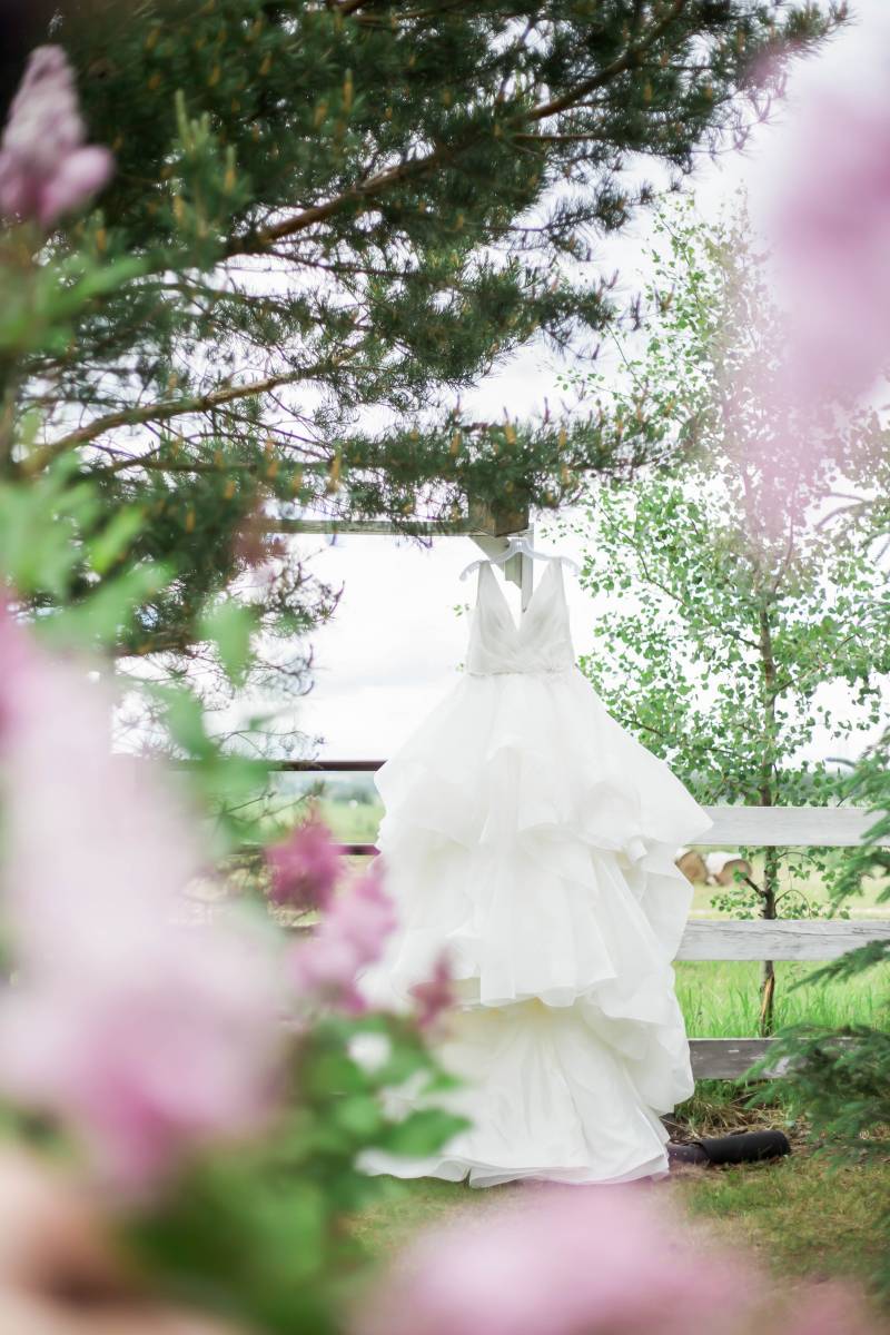 White dress handing from pine tree in front of field behind pink flowers