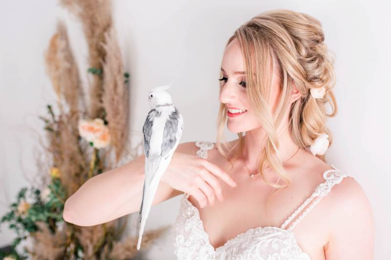 Bride in white lace dress holding white cockatoo on wrist in front of pampas grass 