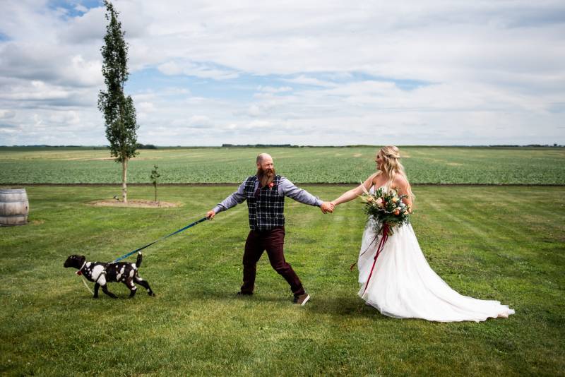 Man and woman holding hands holding spotted goat on leash in field 