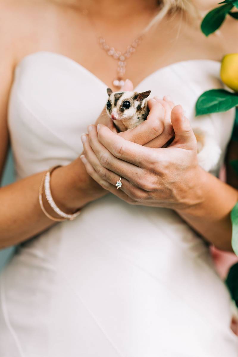Bride holding sugar glider with two hands 
