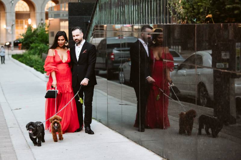 Bride and groom walk down sidewalk with two small dogs on chain leashes 