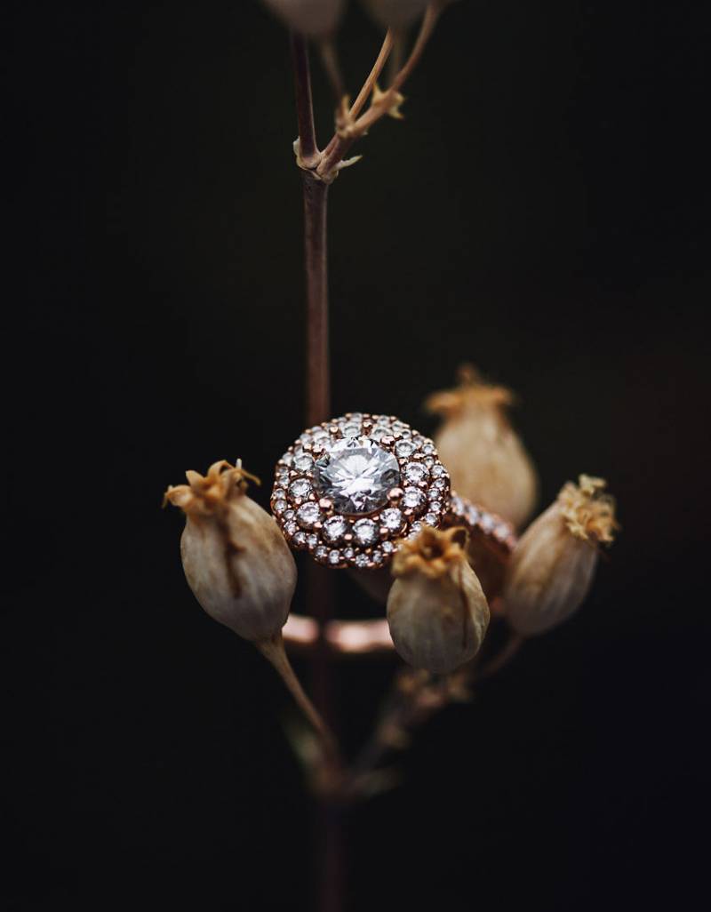 Large round wedding ring in between budding brown flowers 