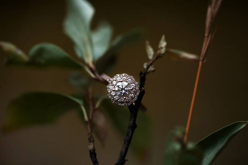 Large round wedding ring laying on dark green leaves and stick