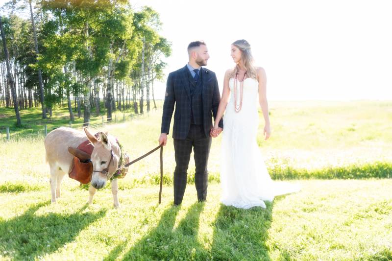 Bride and groom stand on sunny grassy field holding donkey on lead 